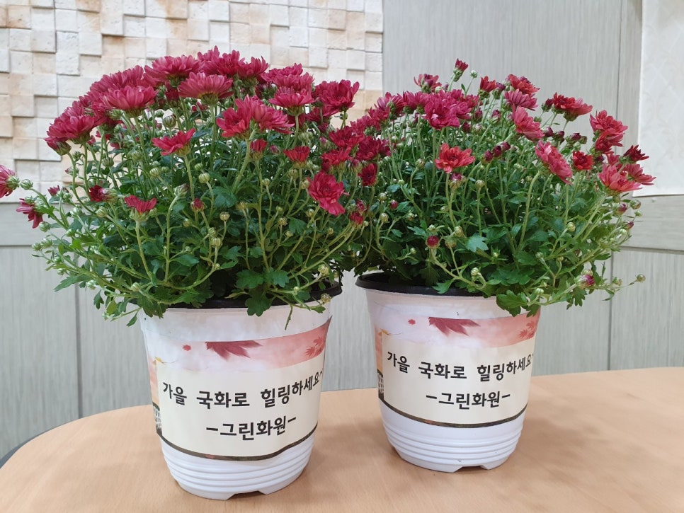 그린화원 이미지