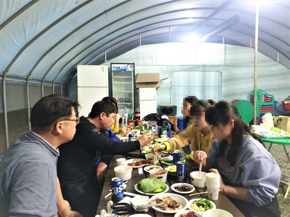 담양클로버 이미지