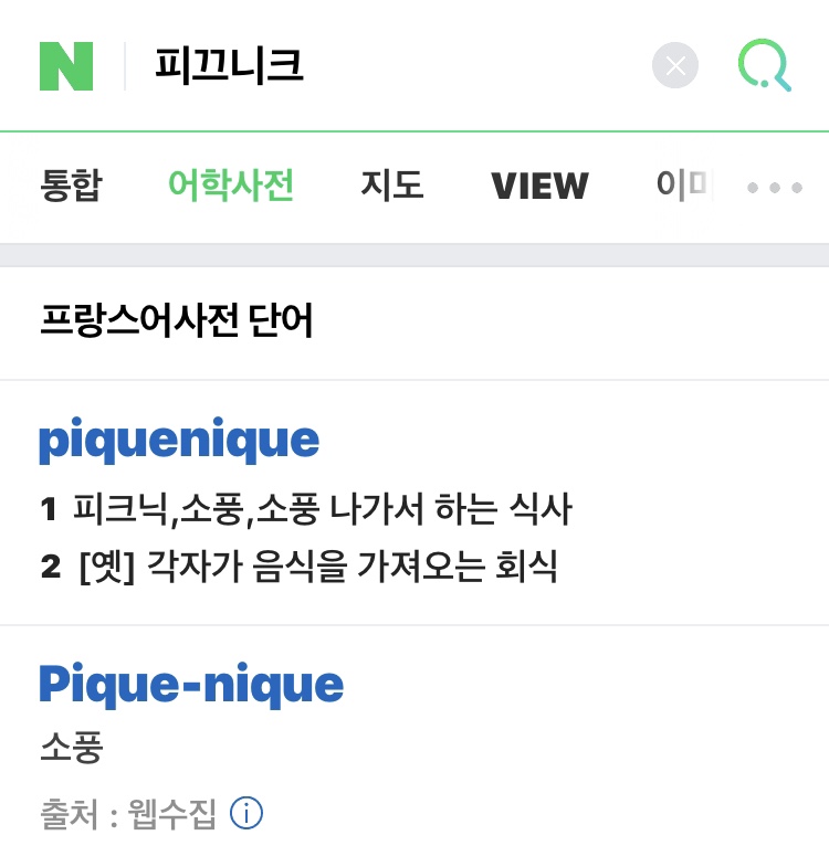 피끄니크 이미지