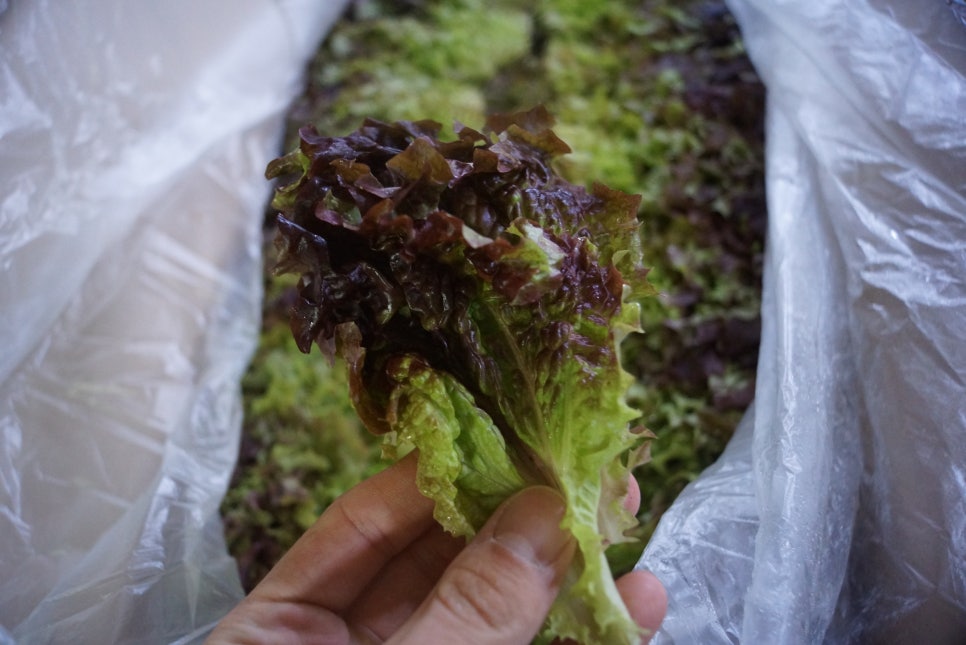청송농산 이미지