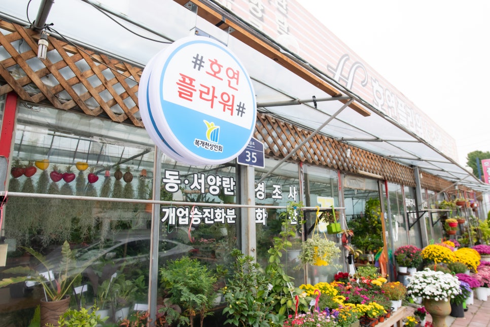 호연플라워 이미지