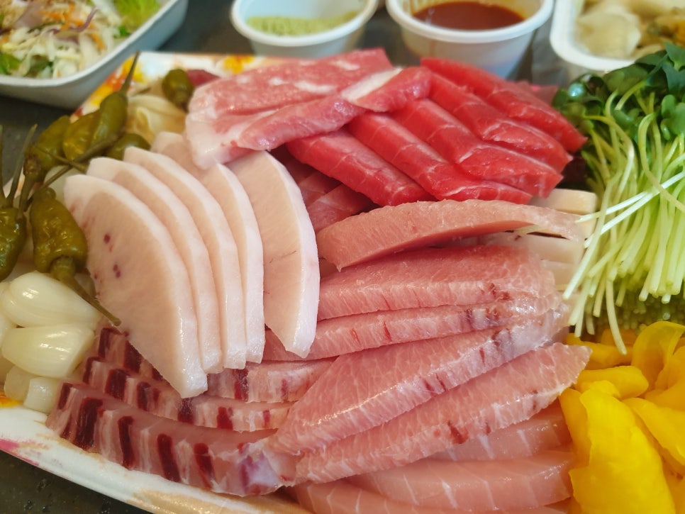 참치나라 이미지
