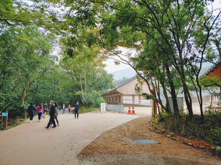 선운사풍천장어 이미지