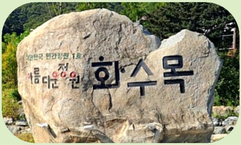 화.수.목(花.水.木 이미지