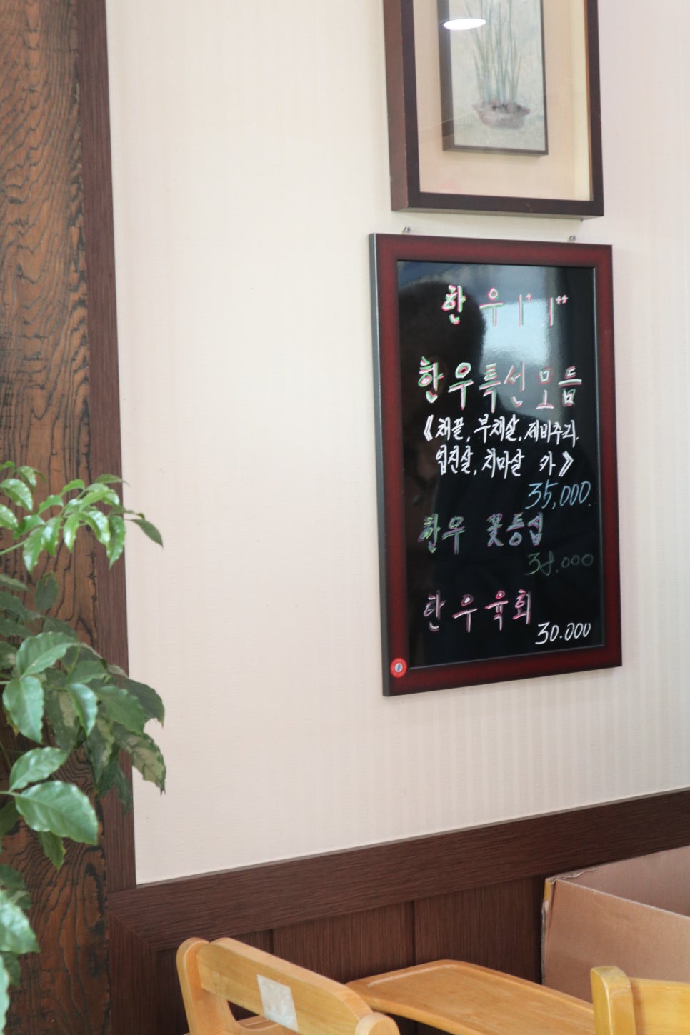 코기조은집 이미지