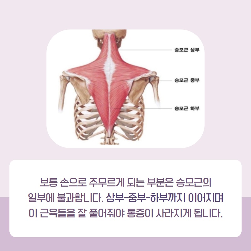 다윤페이스앤풋샵 이미지