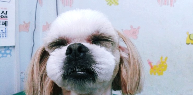 동화미용 이미지