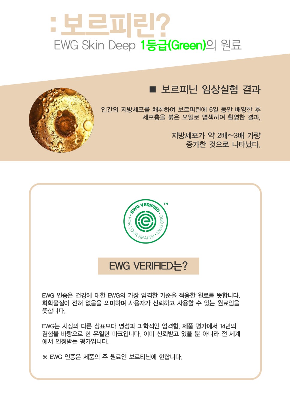 페이지뷰티 이미지