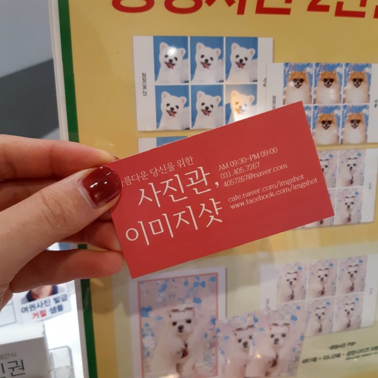 이미지샷 이미지