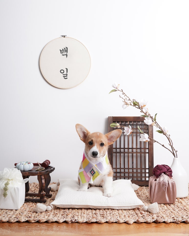 데이스튜디오 이미지