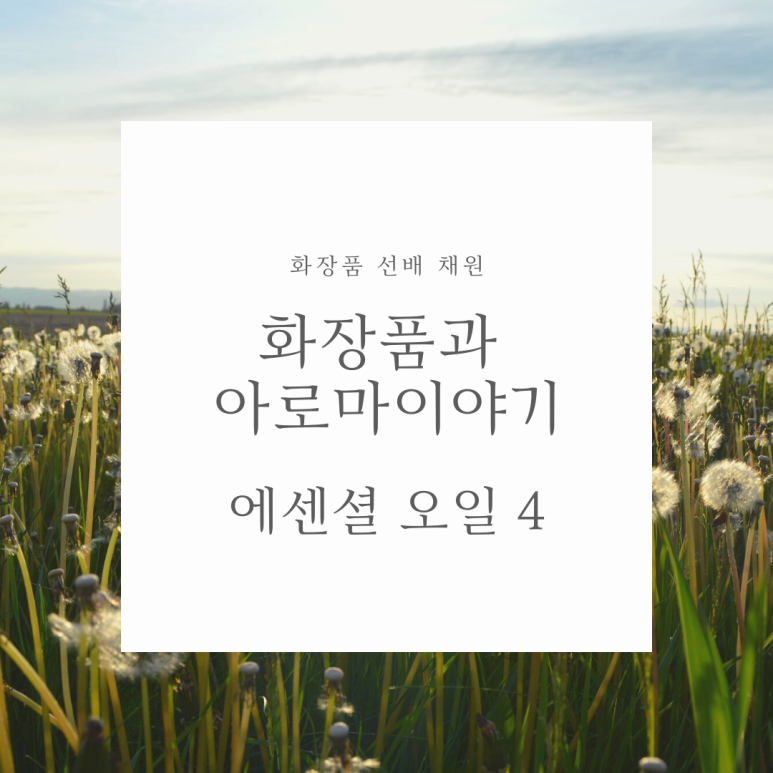 채원화장품 이미지