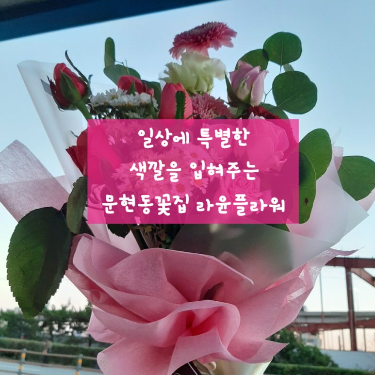 이사윤플라워 이미지