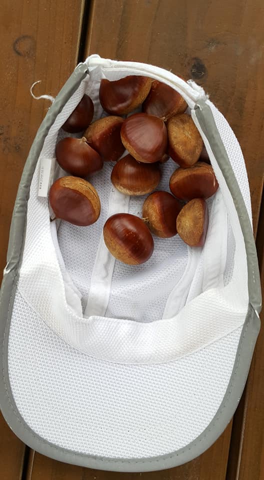 죽곡청년회 이미지
