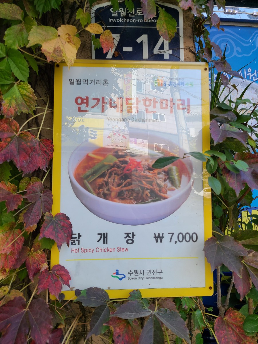 연가네닭한마리 이미지
