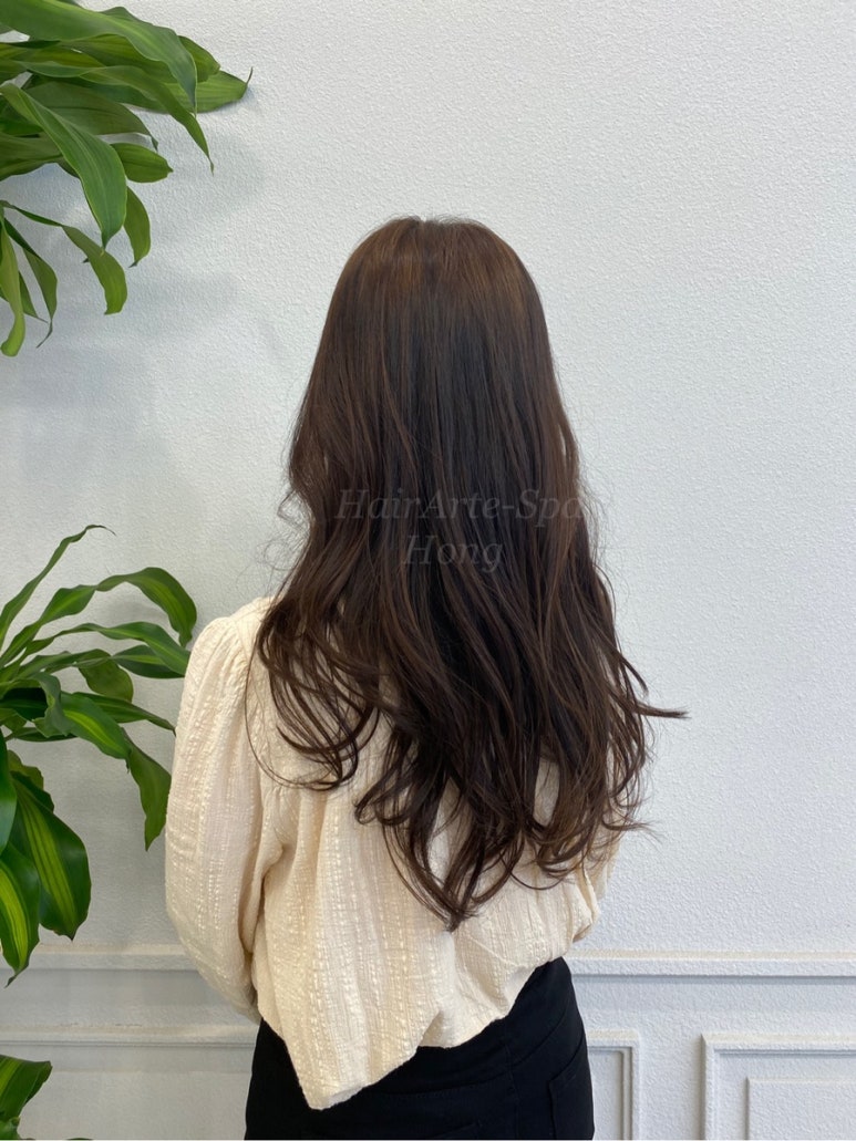 홍스타일 이미지