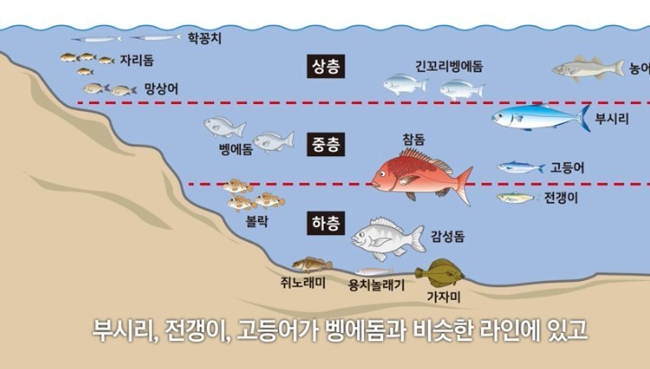 아이원투 이미지