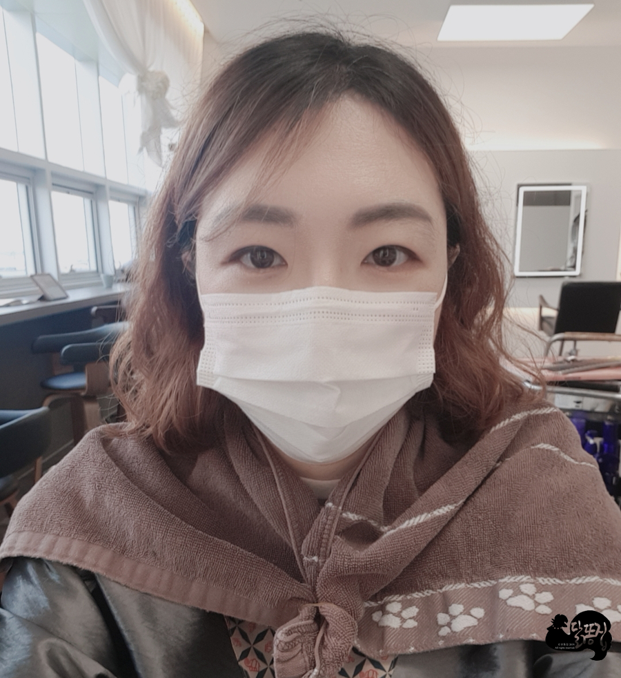 헤어띠아모 이미지