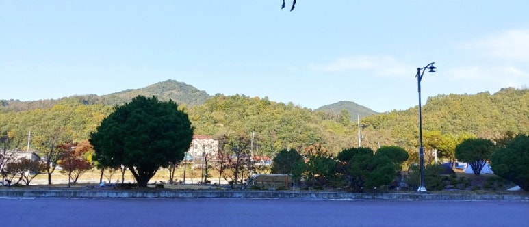 늘비물고기마을 이미지