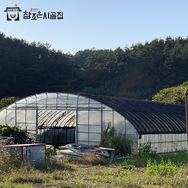 참조은환경 이미지