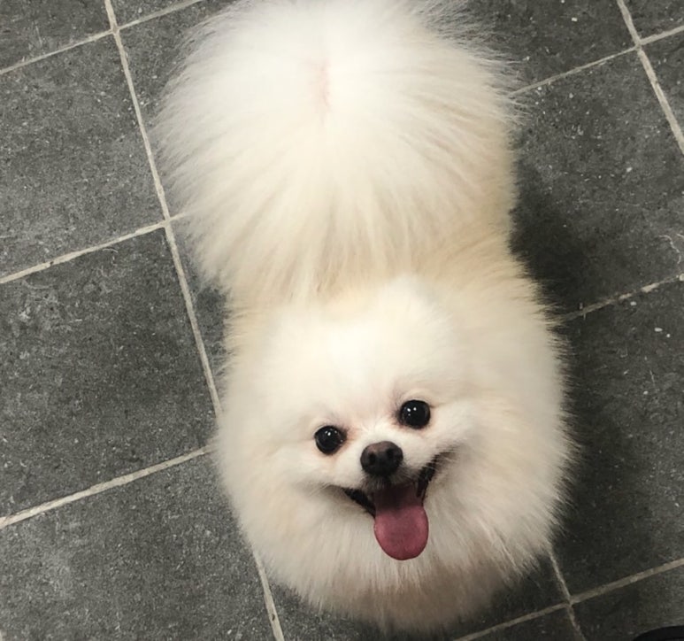 초원샵 이미지