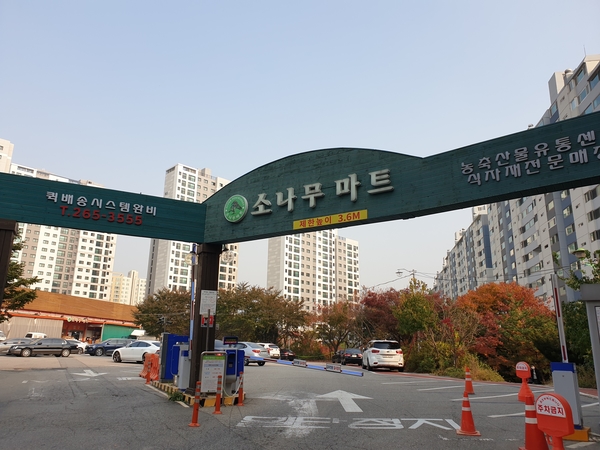 소나무마트 이미지