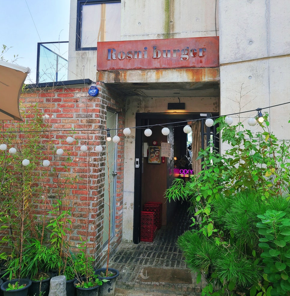 로스니버거 이미지