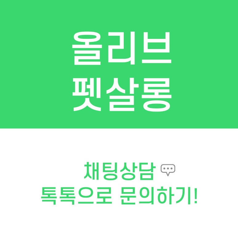 뽕자살롱 이미지