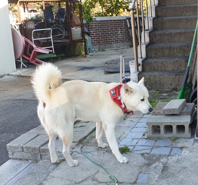 광릉찐빵만두 이미지