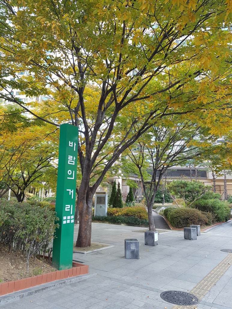 청치과 이미지