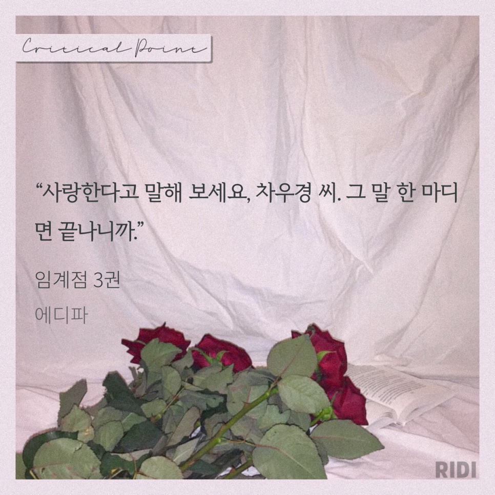 에디파 이미지