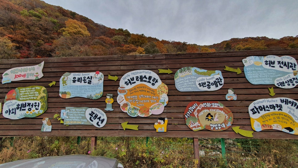 별빛파머스 이미지