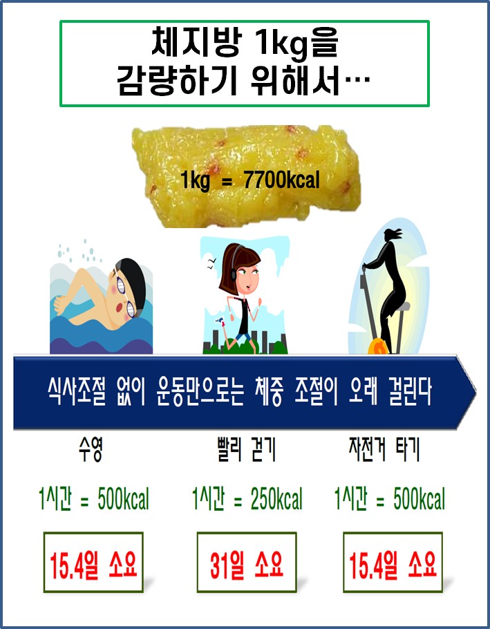 재미있는점핑다이어트 이미지