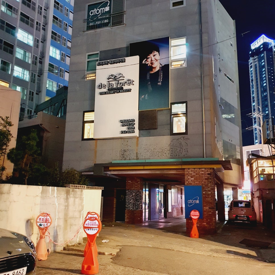 드라포레비치점 이미지