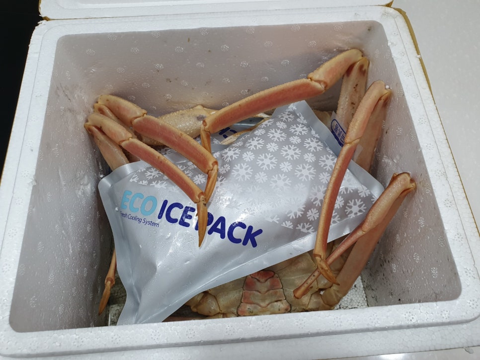 철이네수산 이미지
