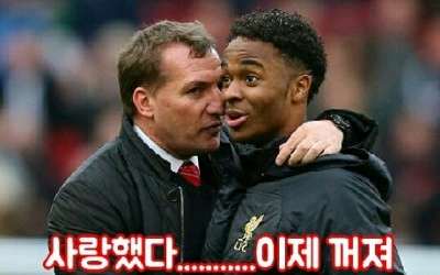 콩심 이미지