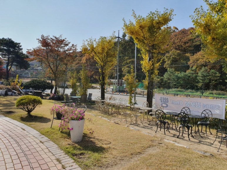 앨리스포레 이미지