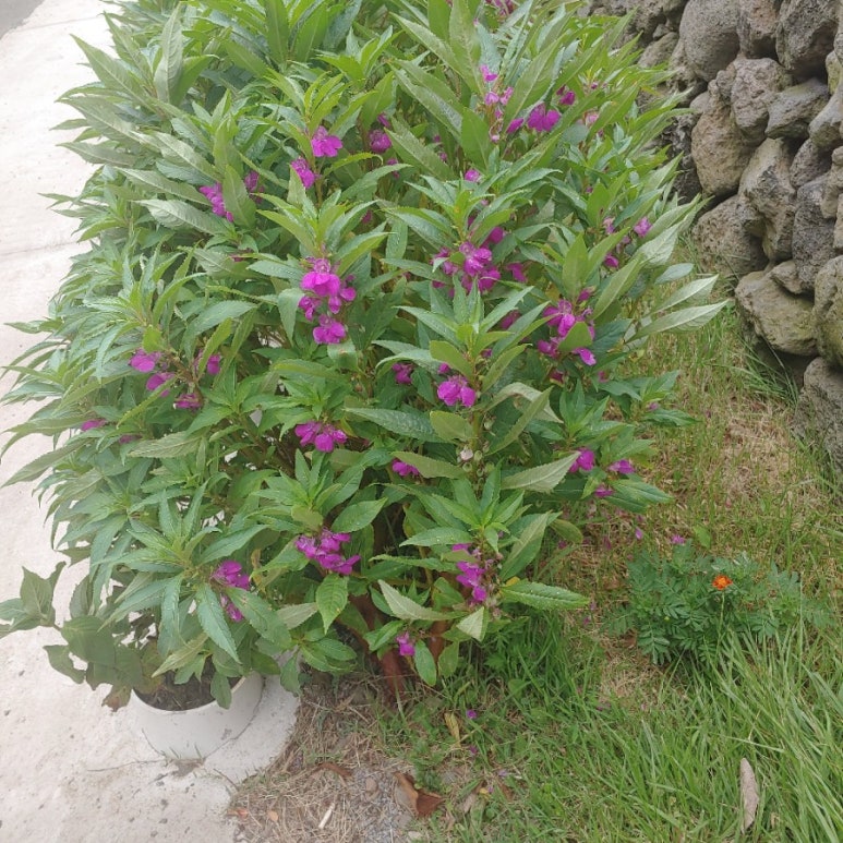 라빛 이미지