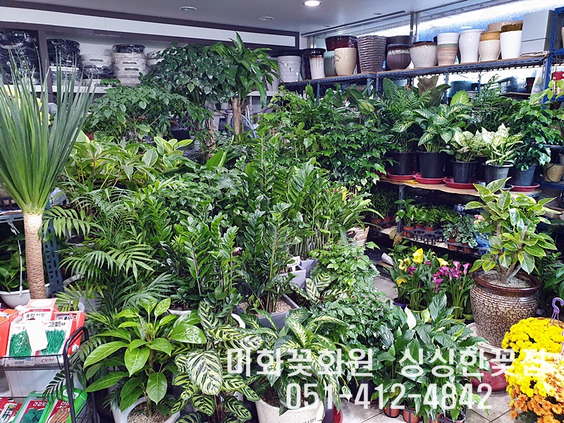 미화화원 이미지