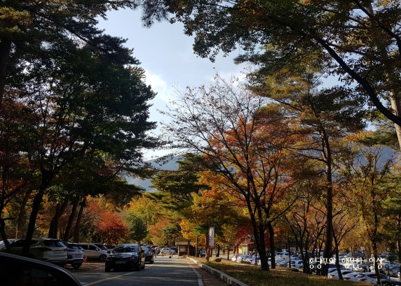 언양원조진불고기 이미지
