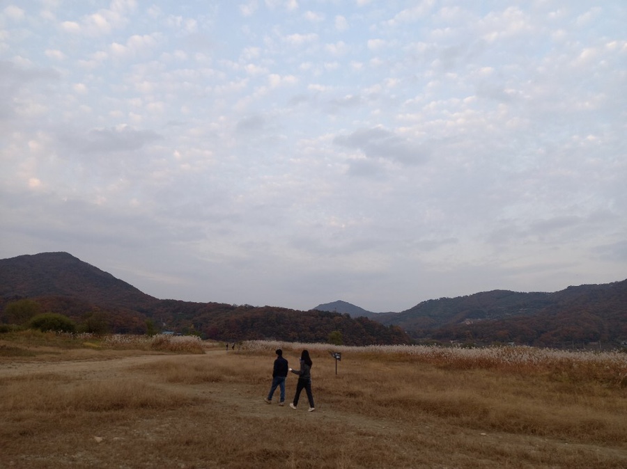 메밀마당 이미지