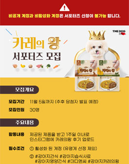 더디앤씨 이미지