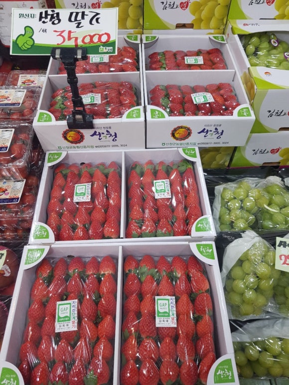총각네수지 이미지