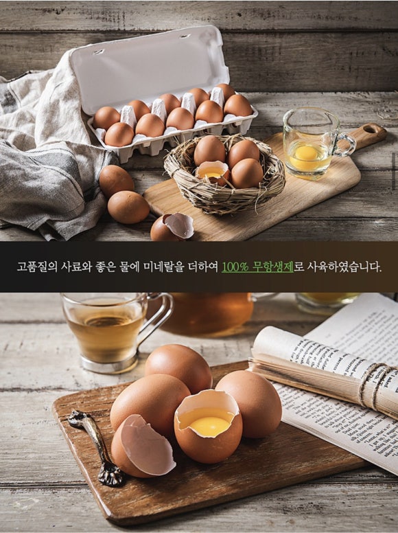 네이처킹덤 이미지