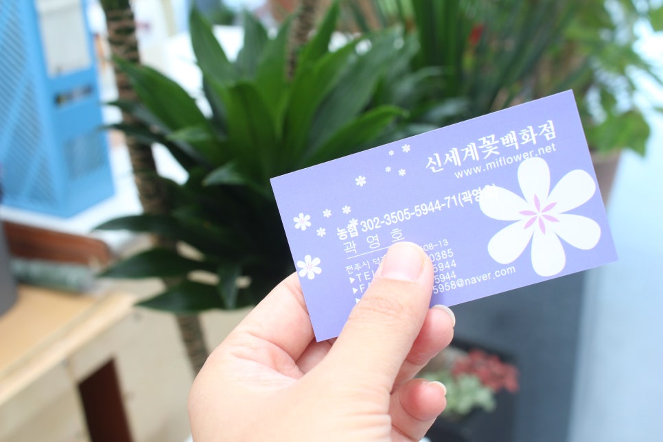 신세계꽃집 이미지