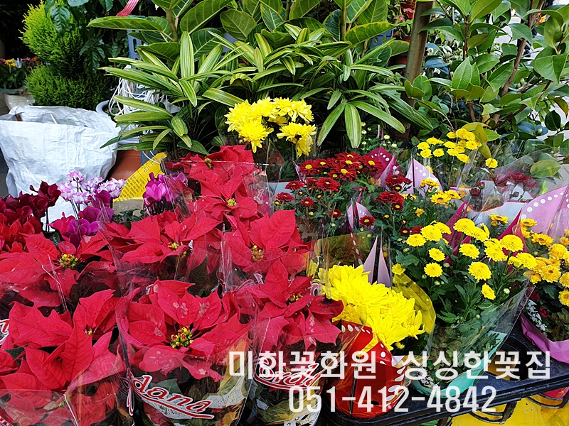 미화화원 이미지