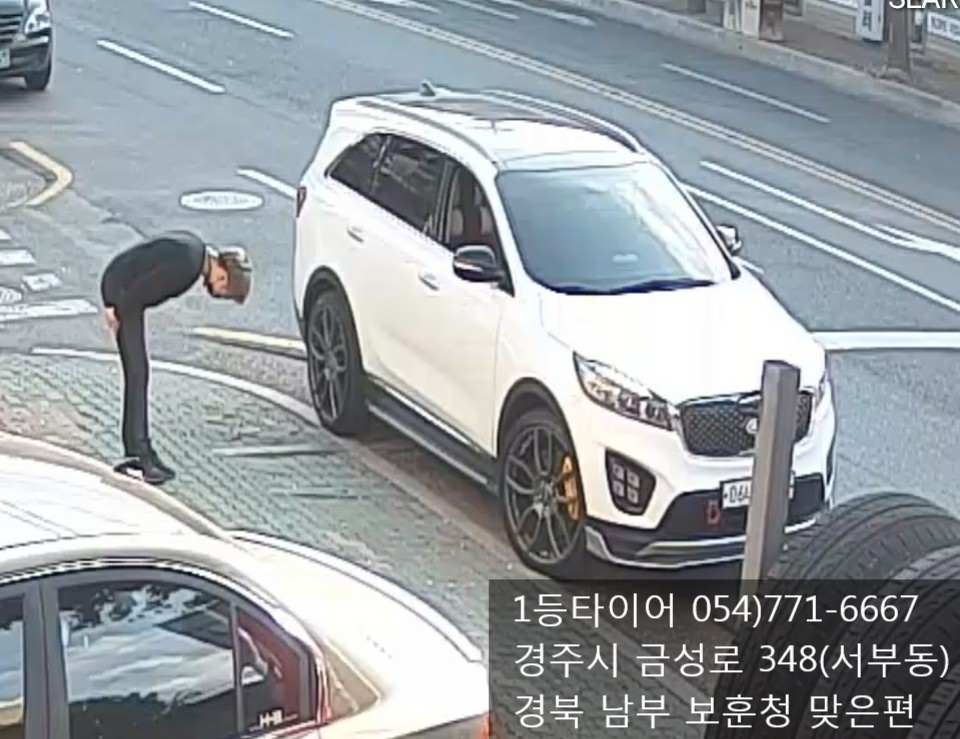 트라이경주 이미지