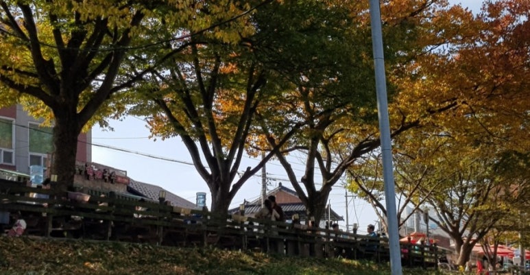 신선한커피창고 이미지