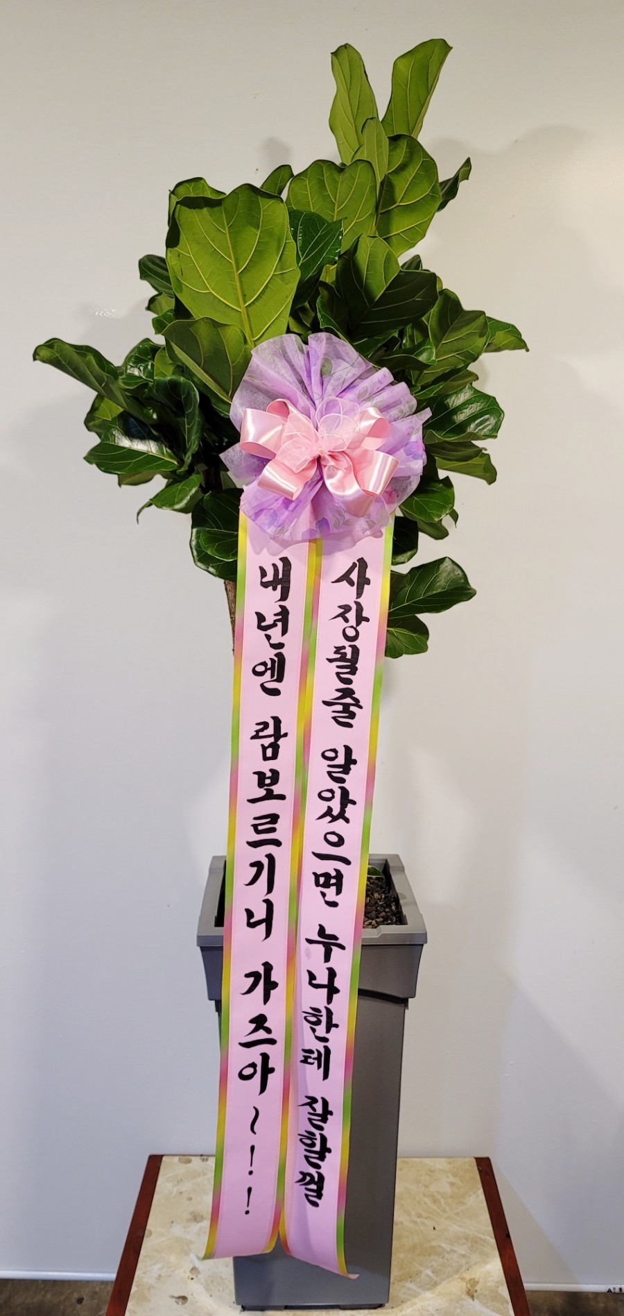 가즈아노래방 이미지