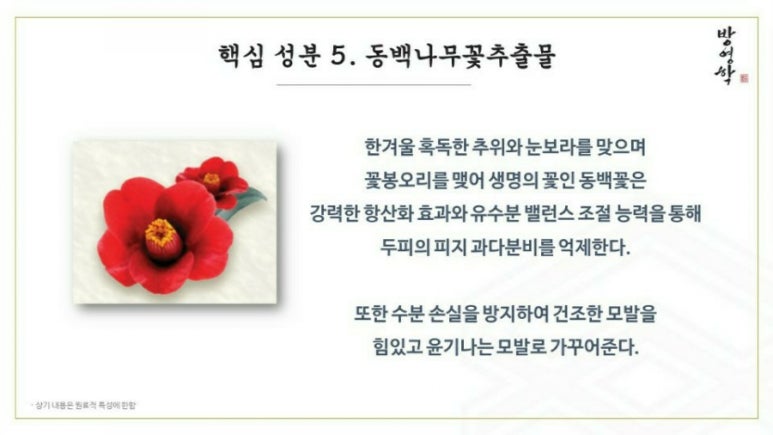 방영학 이미지