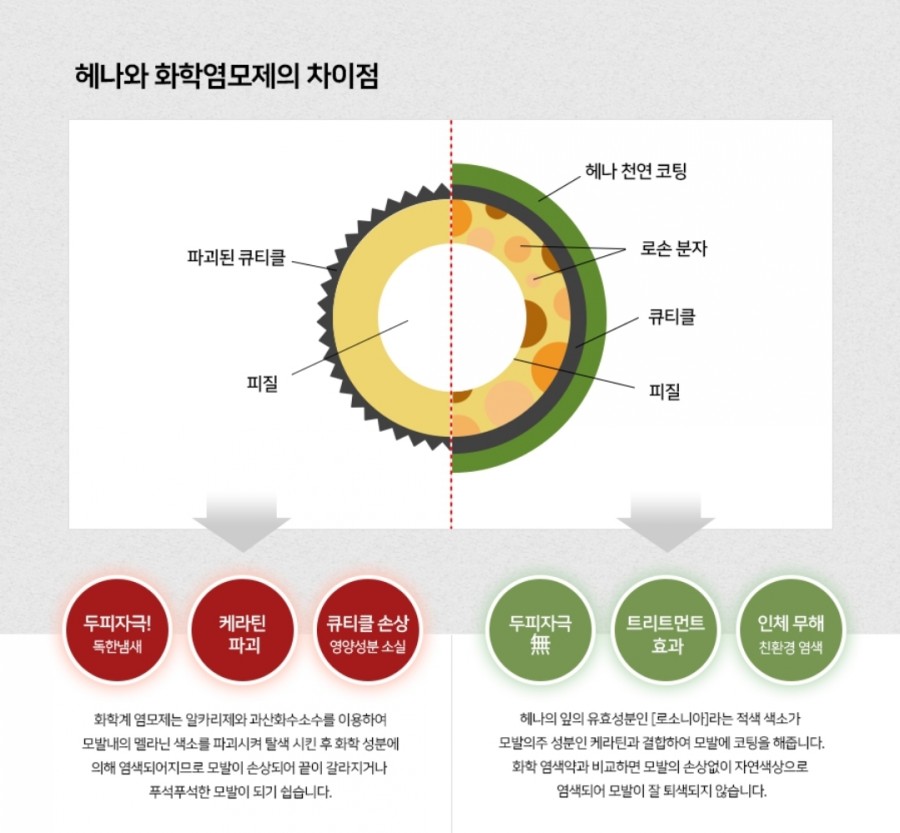 천연헤나 이미지
